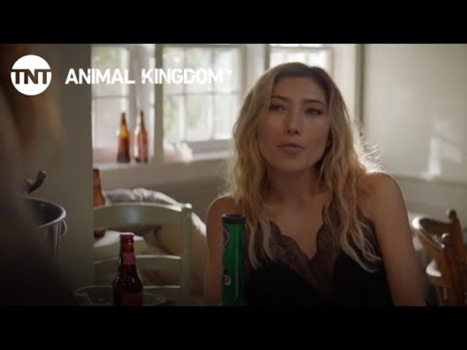 Animal Kingdom Staffel 4 Deutsch