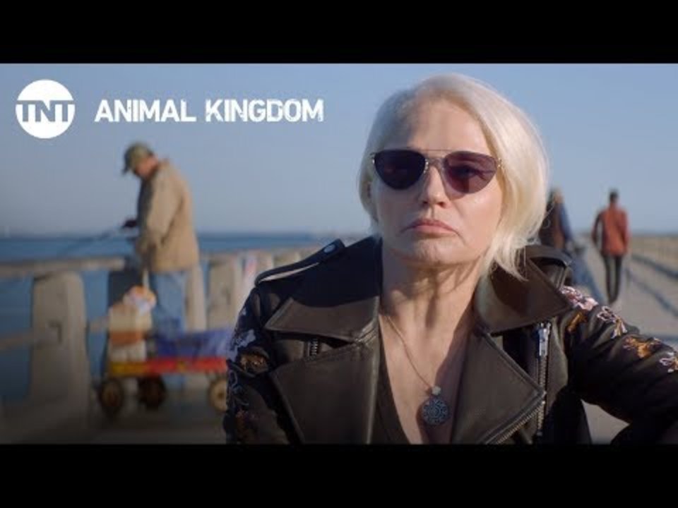 Animal Kingdom Staffel 4 Deutsch