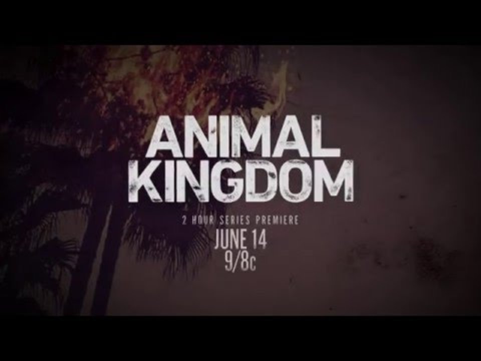 Animal Kingdom Serientrailer 4 Serienjunkies.de