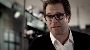 Bull Serientrailer