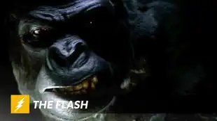 Flash: Grodd is Coming
