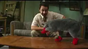 It's Always Sunny: Trailer Staffel 5