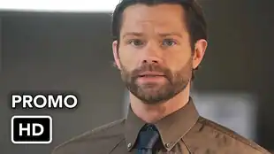 Walker 2x15 Serientrailer
